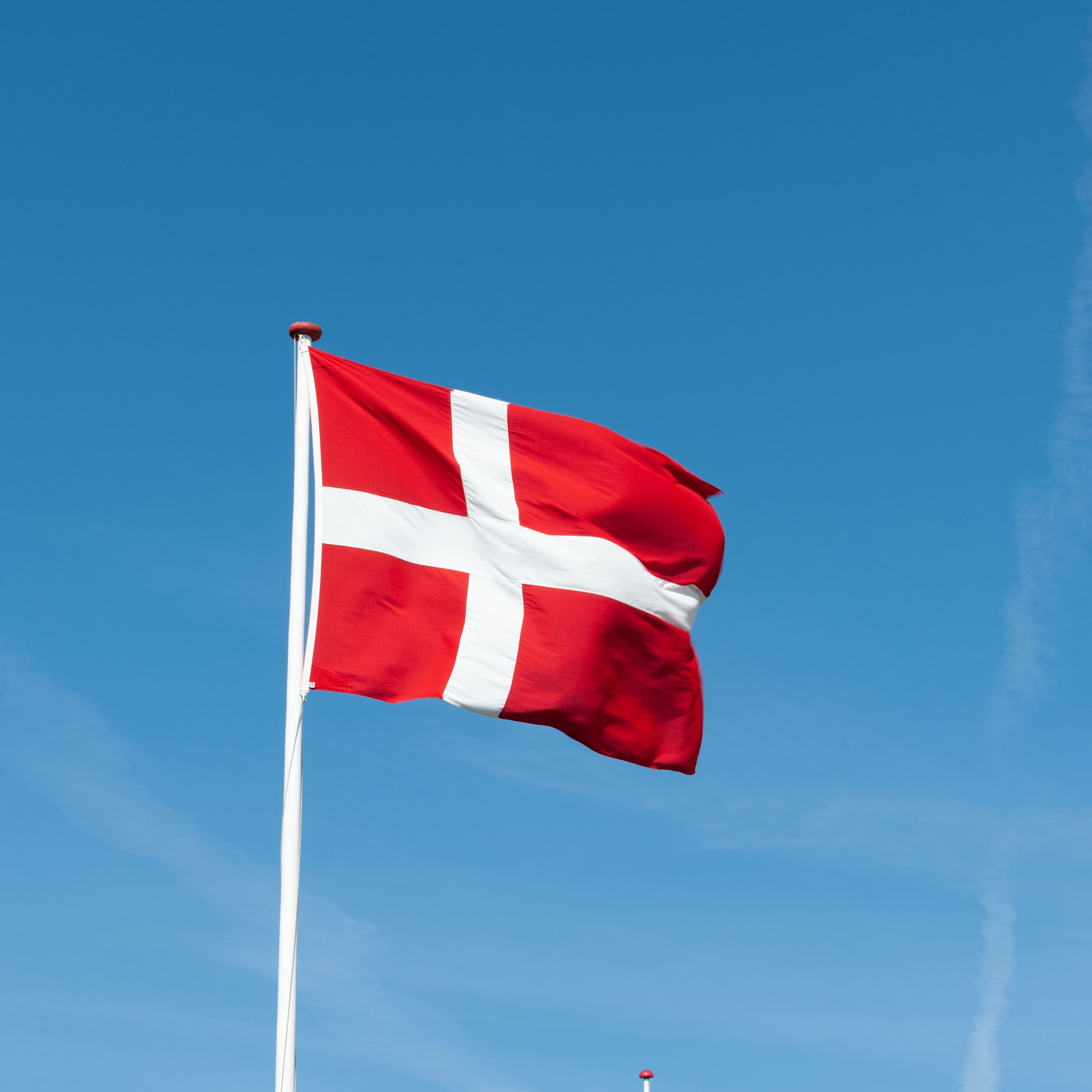 Dannebrog flag på flagstang