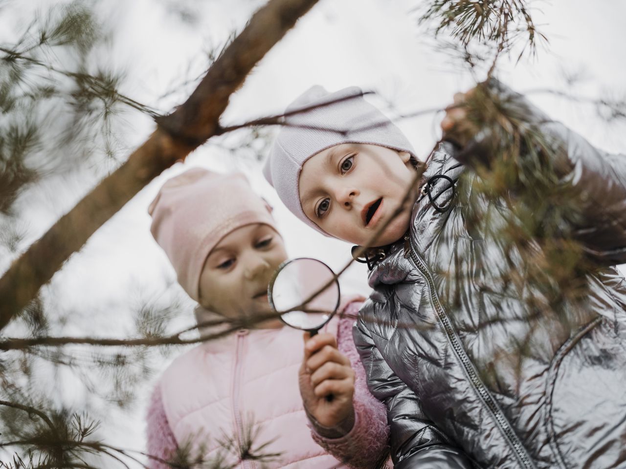 Vinterferie uge 7, 2026