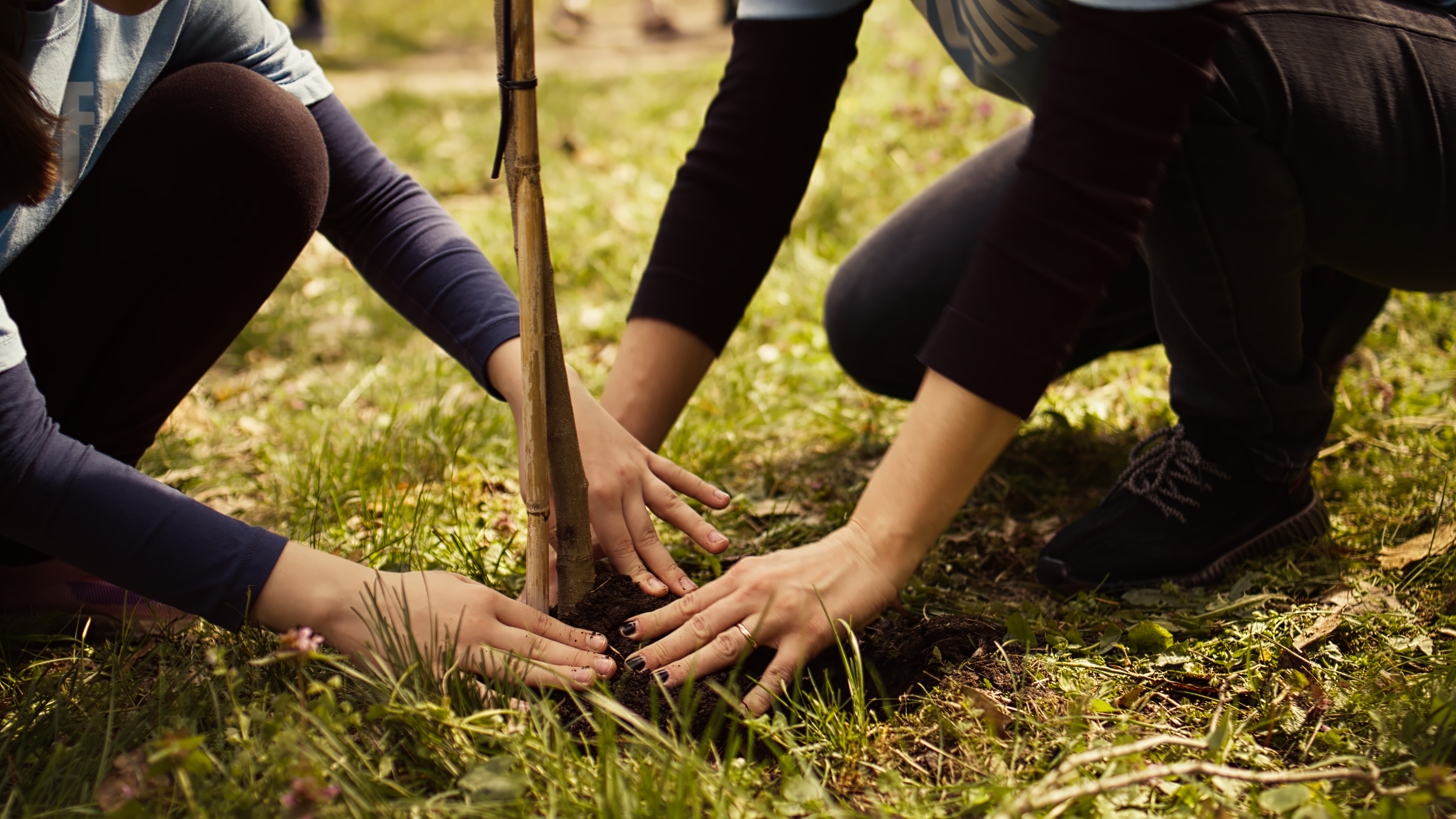 Kvinder træner i naturen