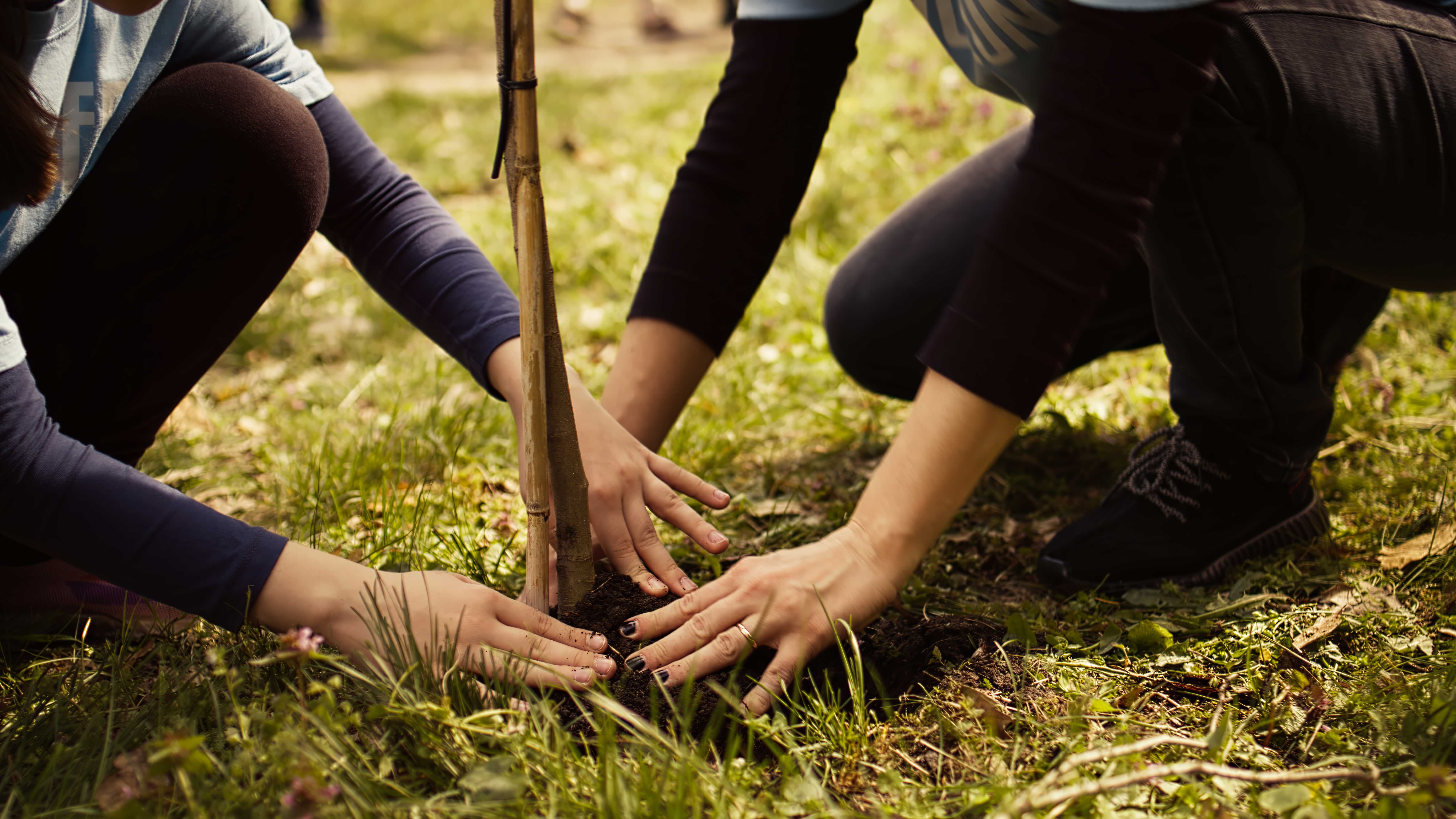 Kvinder træner i naturen
