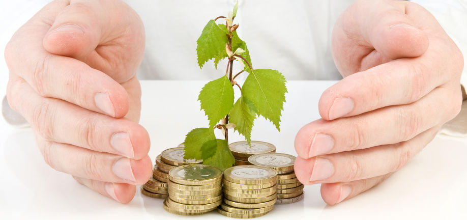 hænder der forsøger at holde på mønter og en plante med blade