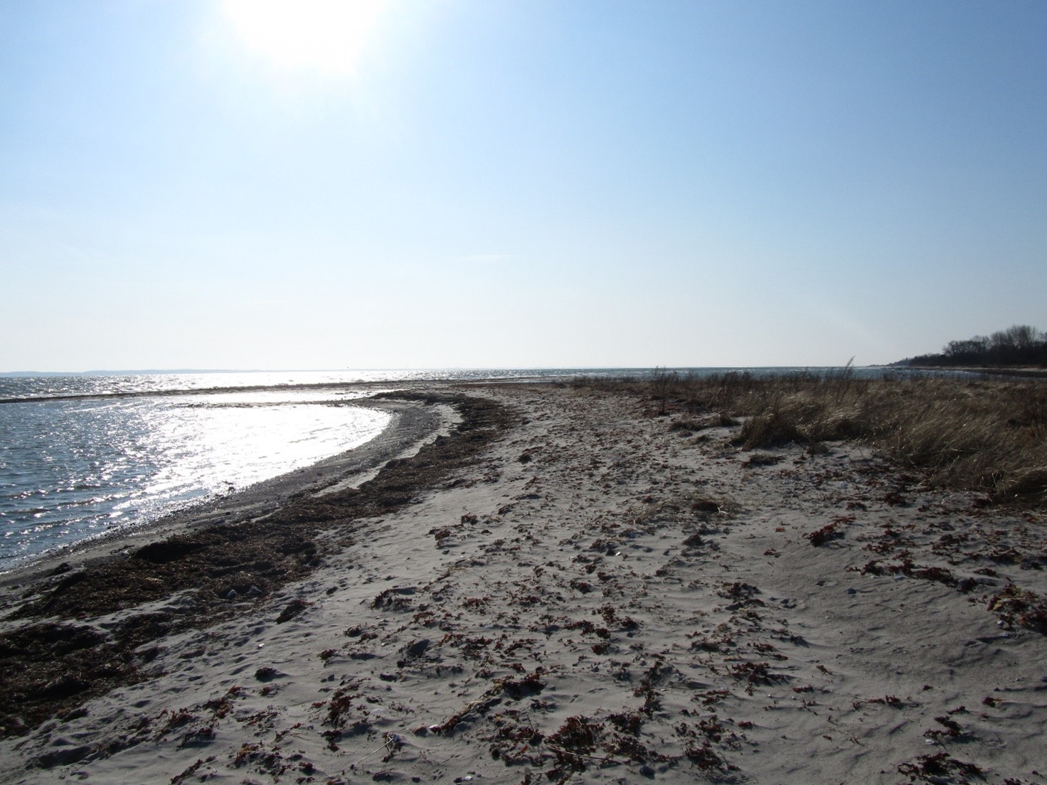 Her ser du et billede af Bøsøre Strand