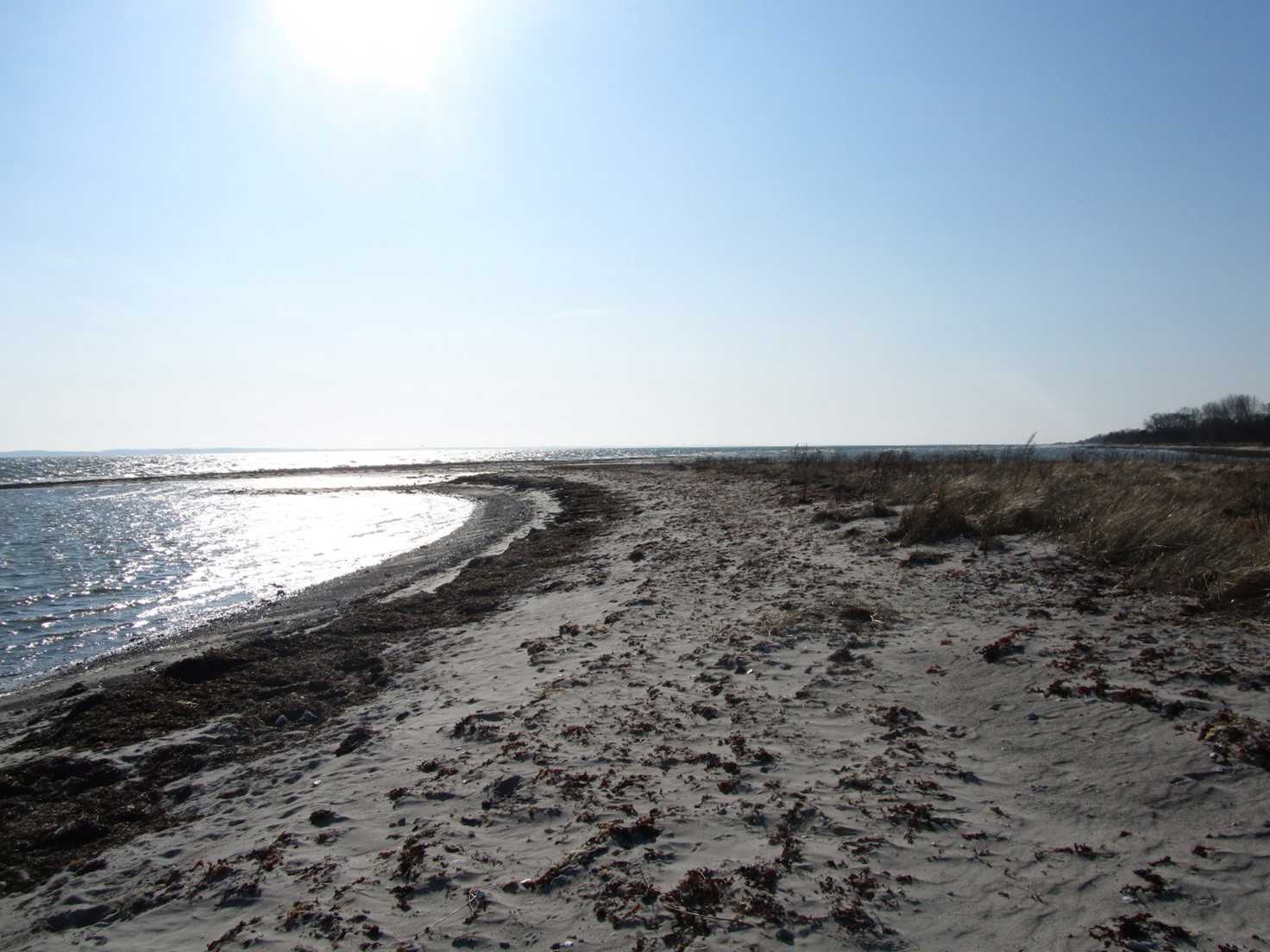 Her ser du et billede af Bøsøre Strand