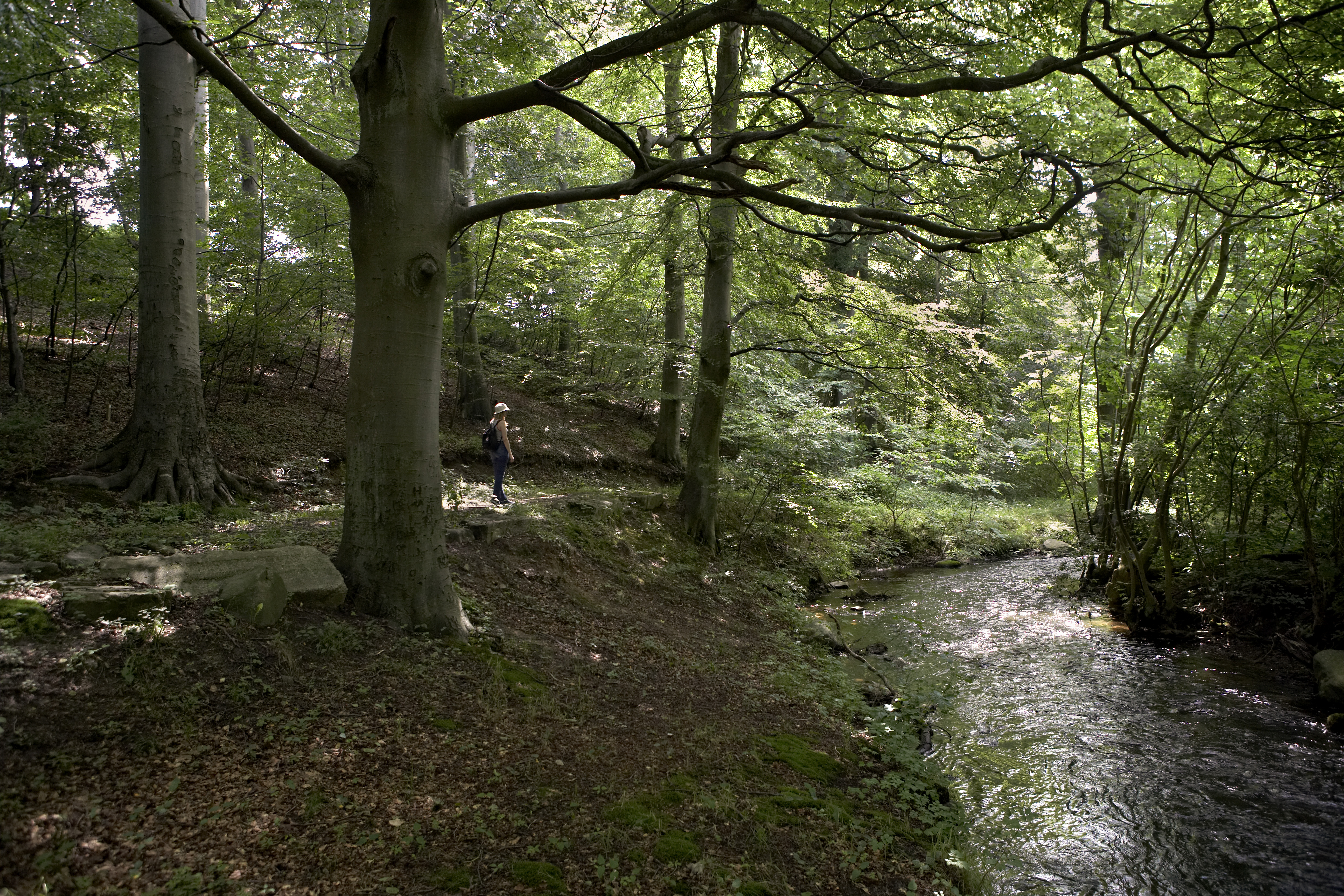 Fordybelse ved Vejstrup Å.