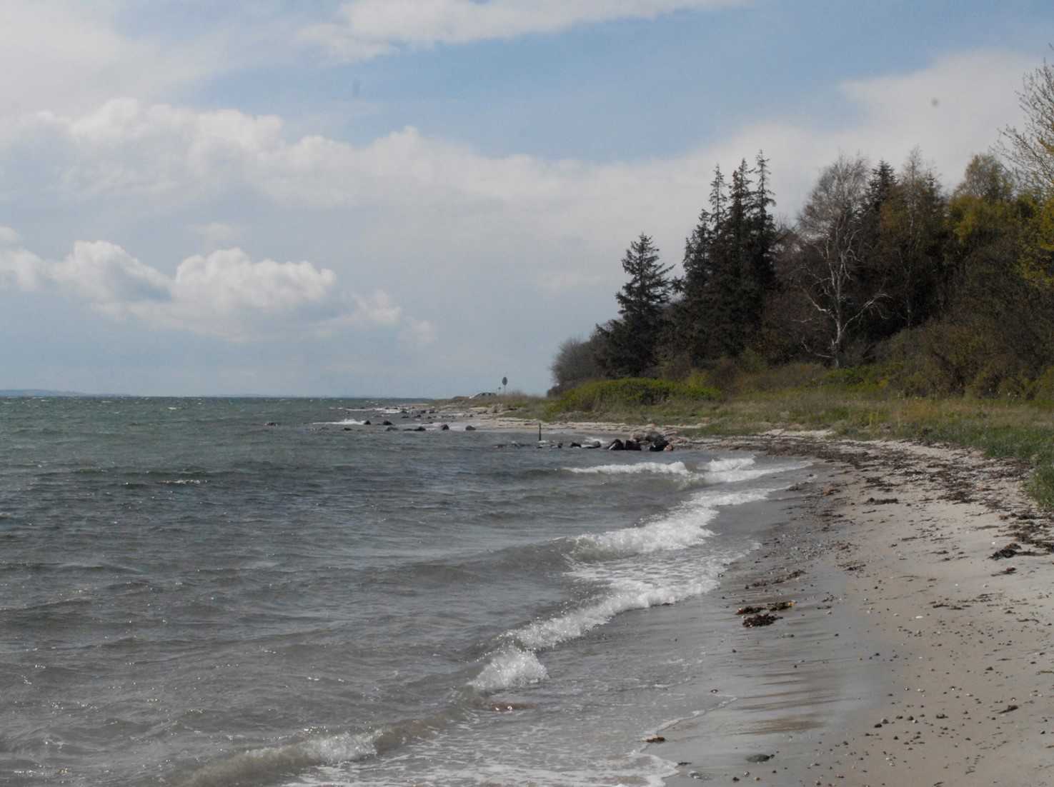 Lehnskov Strand ligger neden for Lehnskov Huse og Fredskov ud til mundingen af Svendborg Sund.