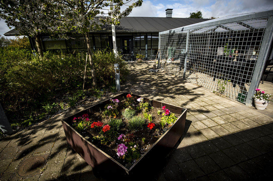 Gårdhaven Trollehøj Plejecenter