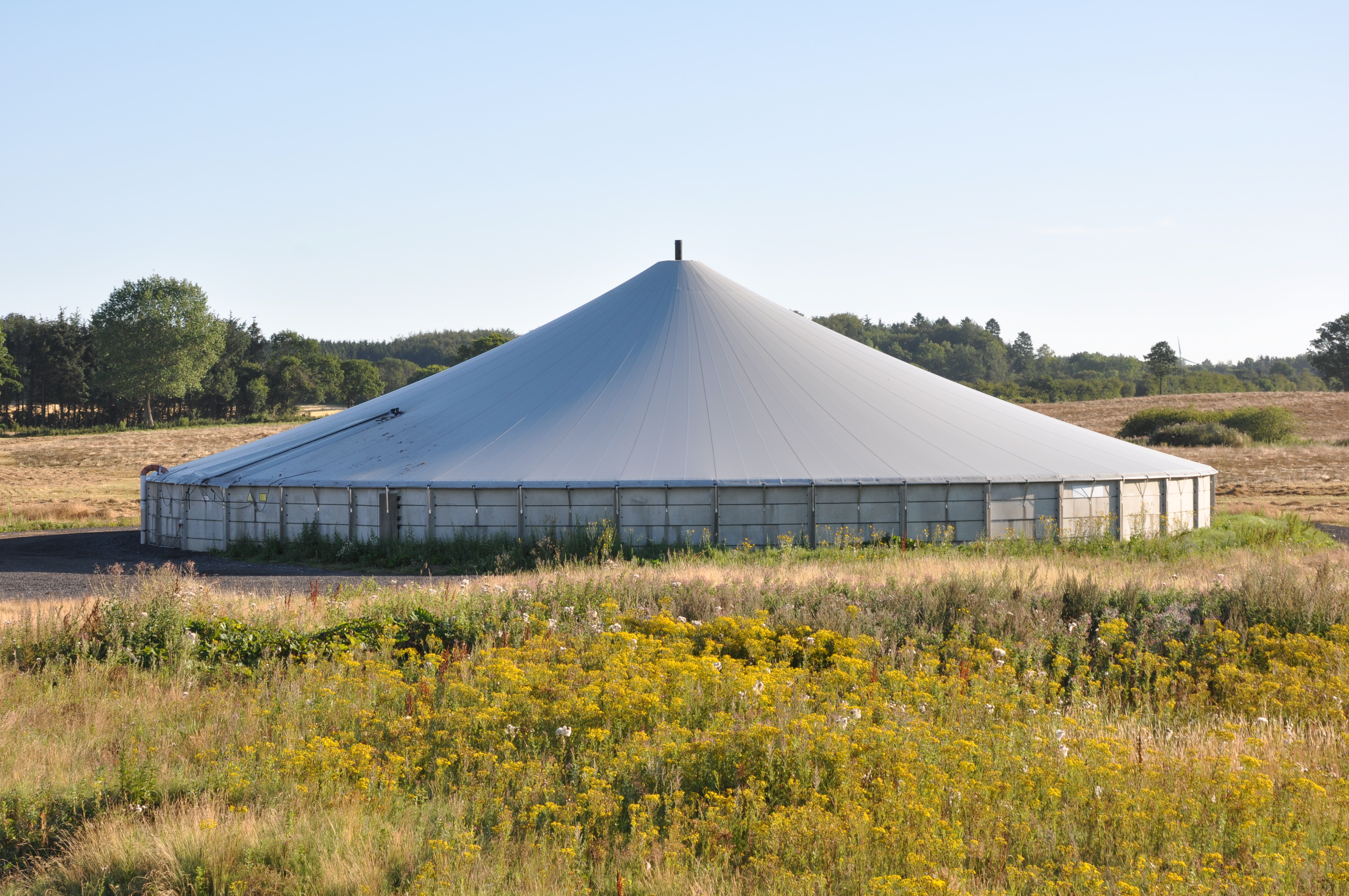 Gyllebeholder dækket med teltdug placeret i en mark med træer i baggrunden