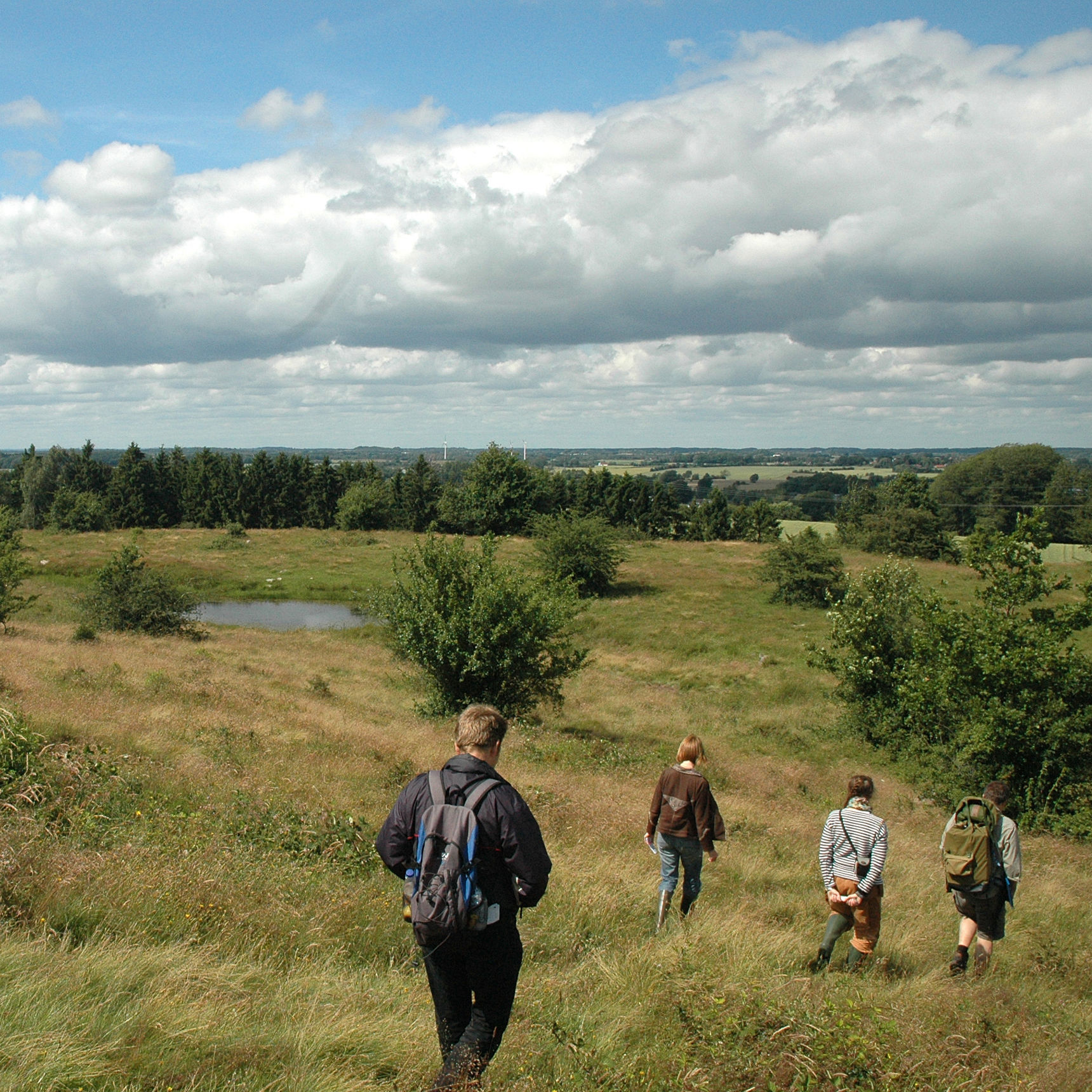 Rødme Svinehaver har aldrig været opdyrket. Græsning gennem flere hundrede år har skabt det artsrige overdrev.