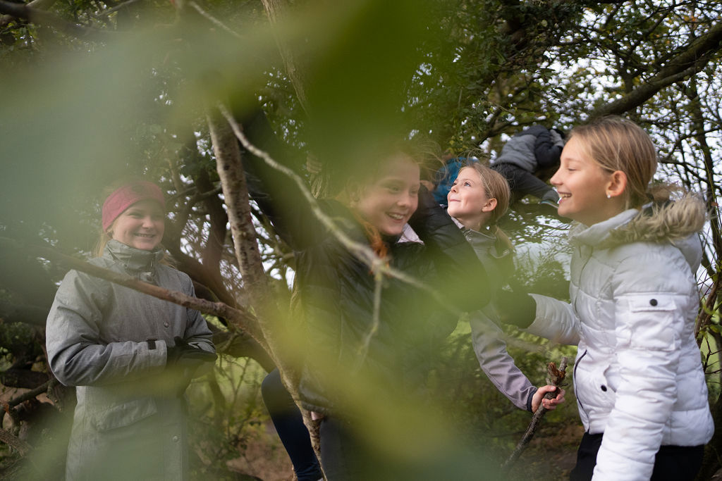 Børn leger i træ