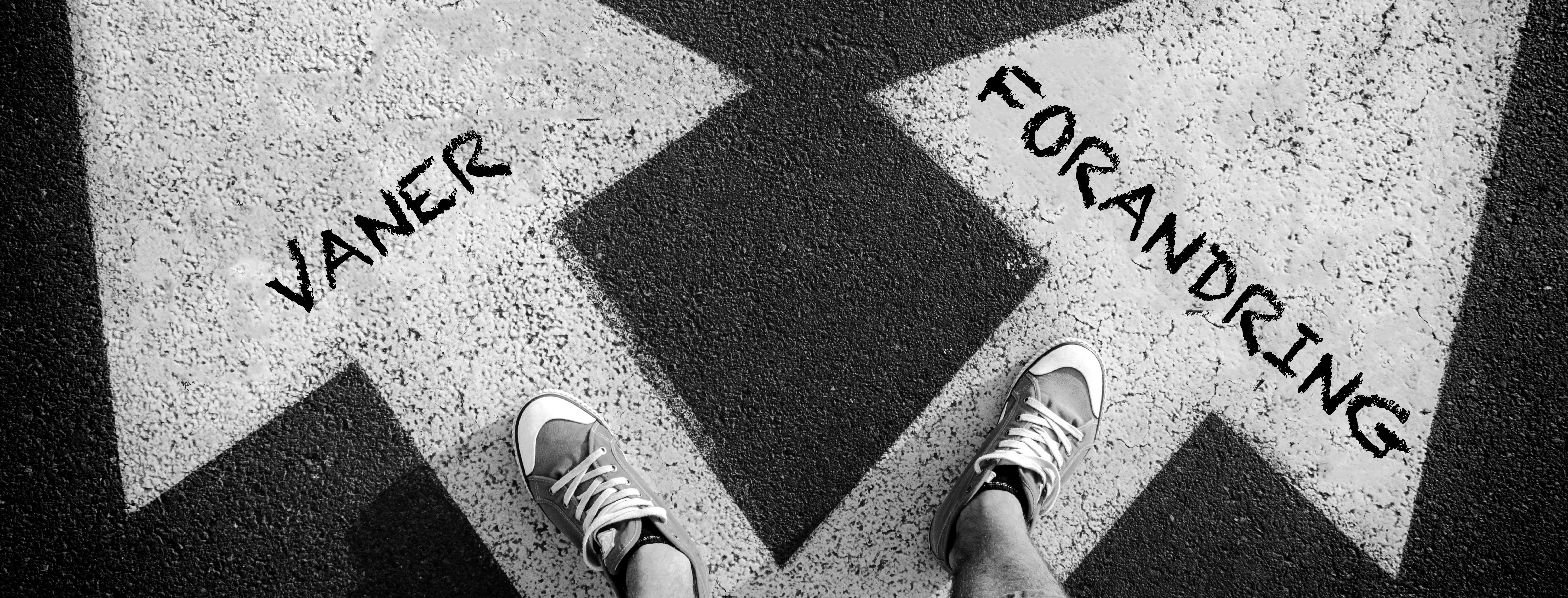 Mandeben på to pile. På den ene pil står der vaner. På den anden pil står der forandring.