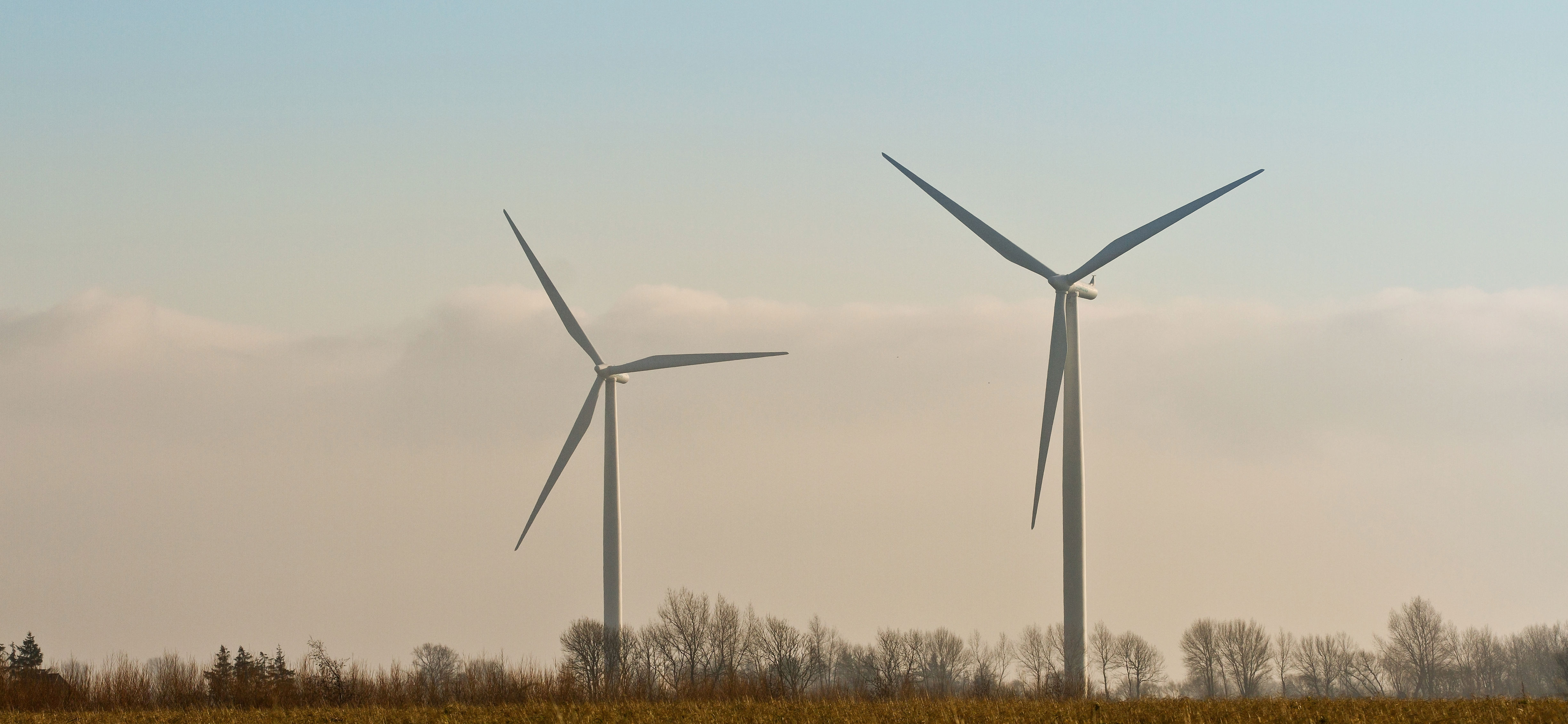 Vindmøller i horisonten på en mark
