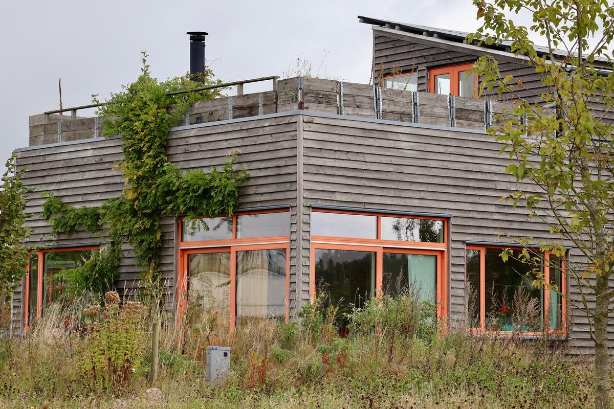 Moderne træhus med vild beplantning foran og klatreplanter