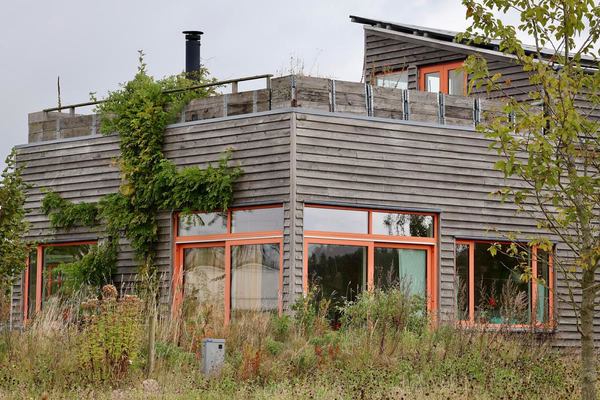 Moderne træhus med vild beplantning foran og klatreplanter