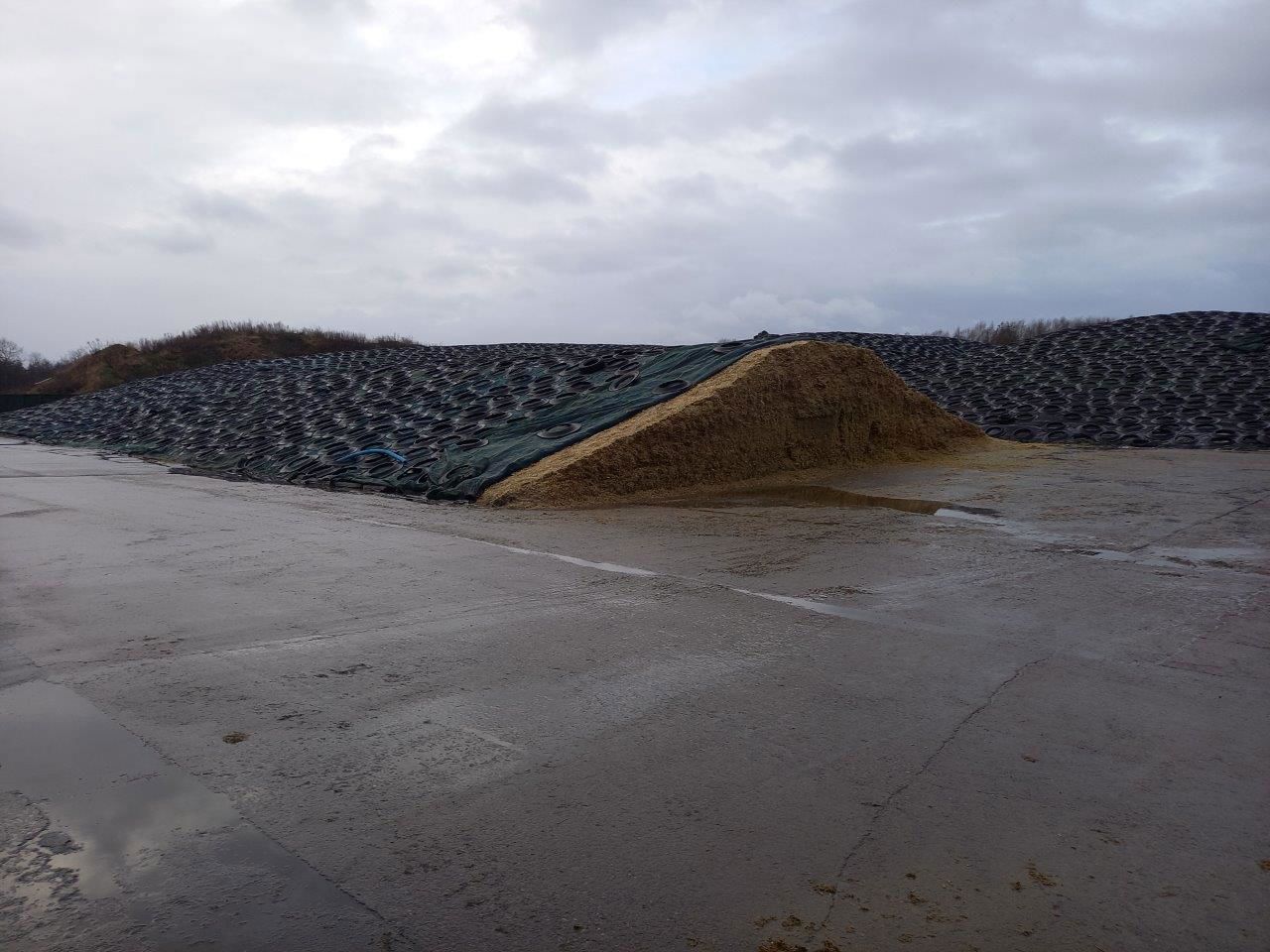 Store ensilagestakke overdækket med plastik og bildæk placeret på støbt plads