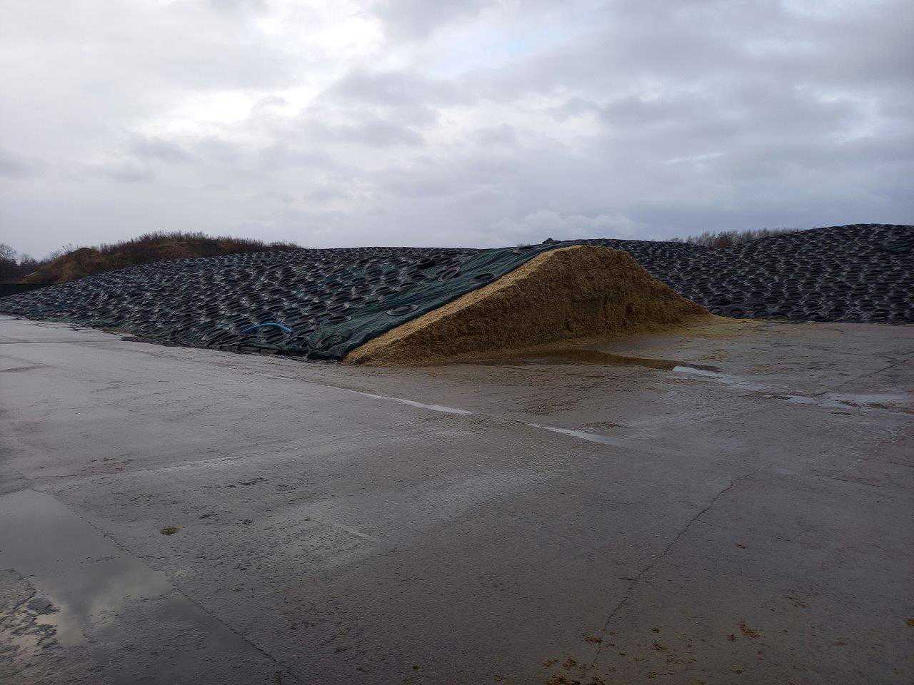 Store ensilagestakke overdækket med plastik og bildæk placeret på støbt plads