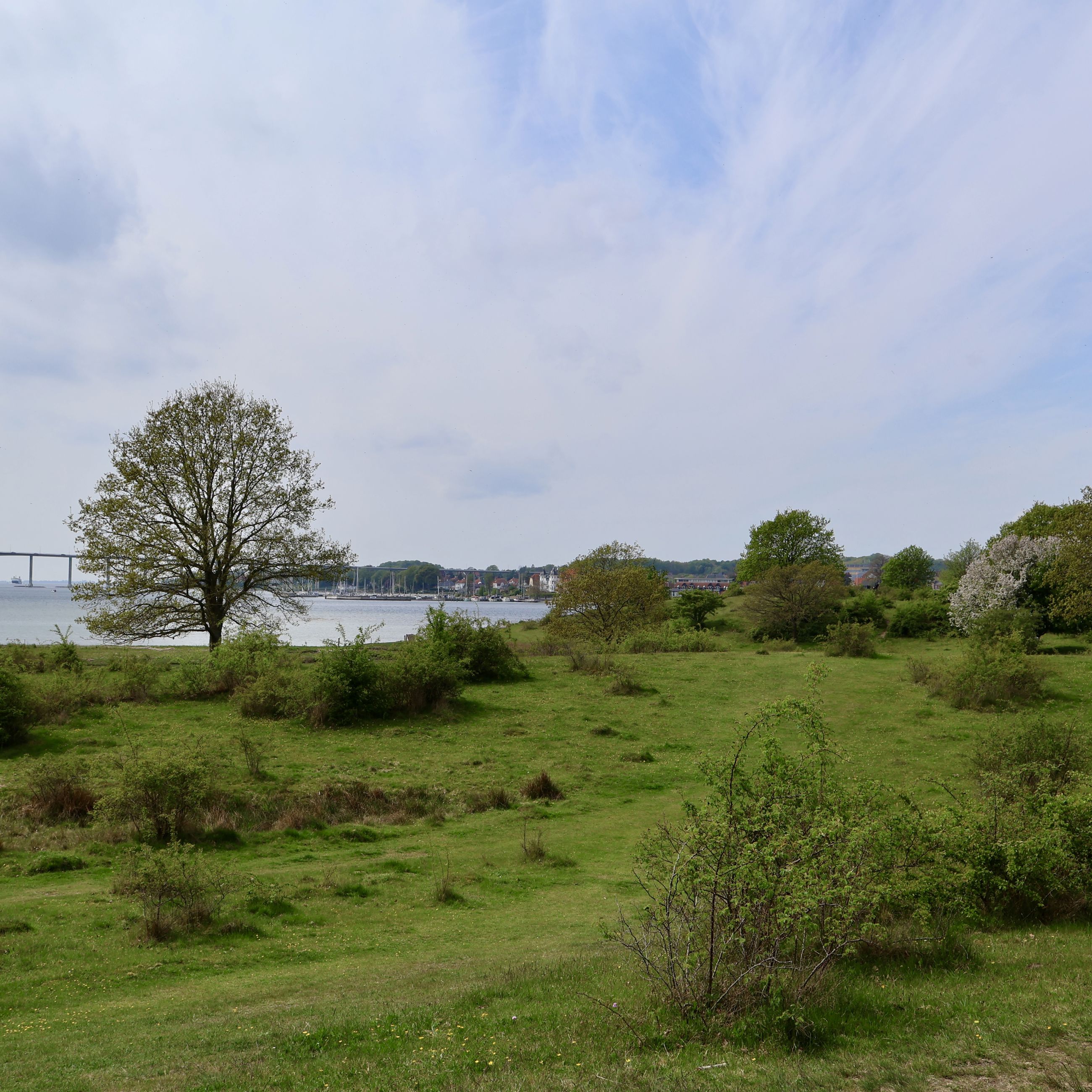 Mod vest kan man se Svendborgsundbroen og holde øje med færgerne, der sejler under.
